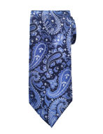 Picture of Ted Baker Paisley Jacquard Silk Tie
