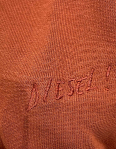 Picture of Diesel Embroidered Sweat Hoody