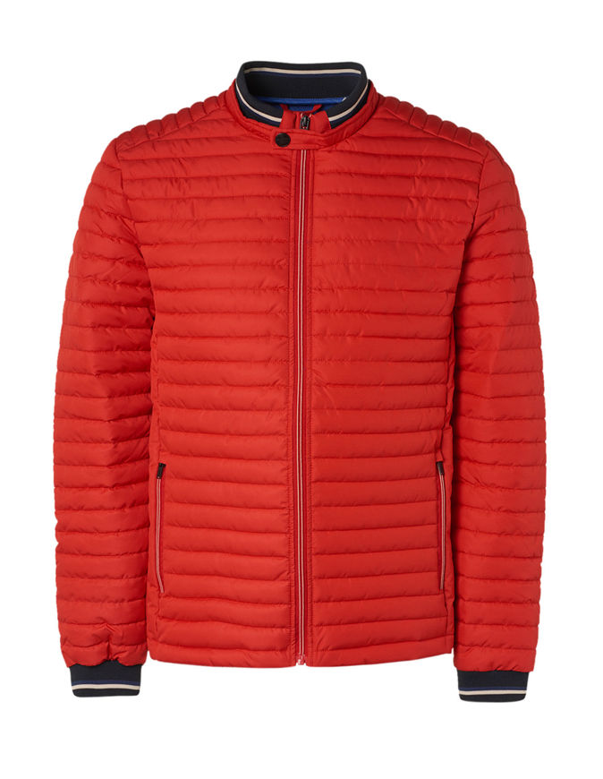 Picture of No Excess Red Puffer Short Jacket